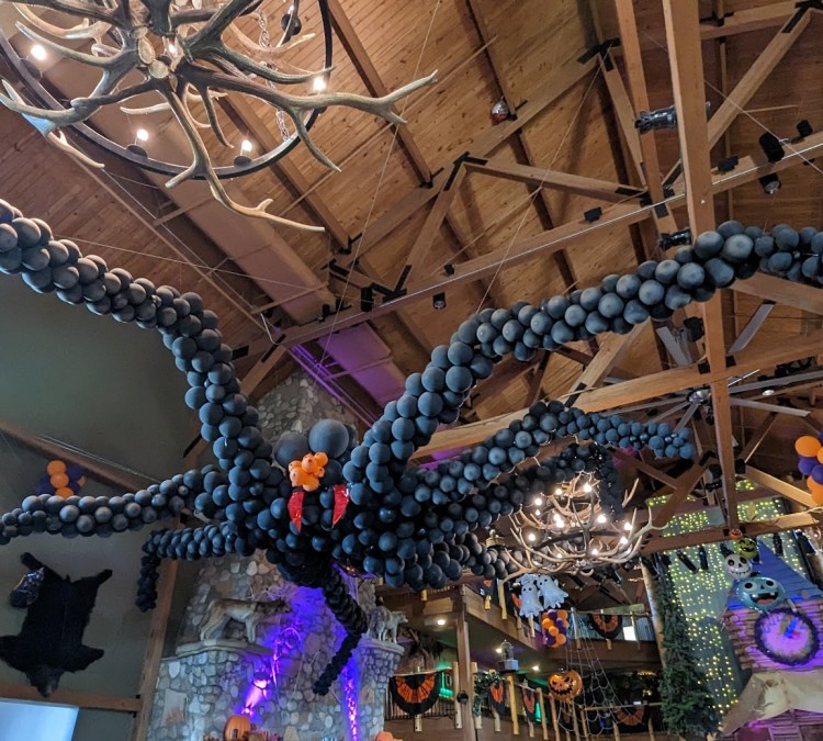 Great Wolf Lodge Water Park | Concord (Concord,&nbspNC)
